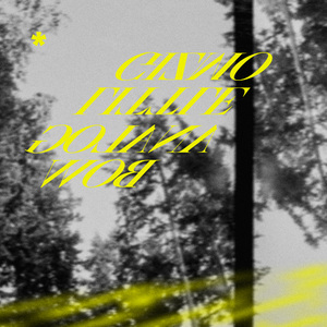 男女作爱网站免费
