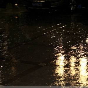 男女作爱网站免费
